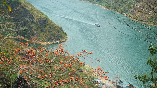 Nho Que River dons romantic garb in red silk cotton flower season Nho Que River dons romantic garb in red silk cotton flower season